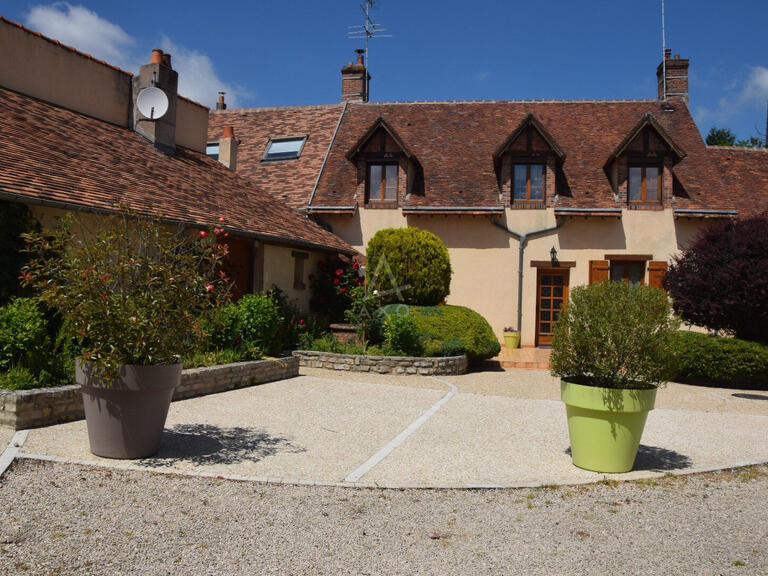 House Nogent-sur-Vernisson - 8 bedrooms