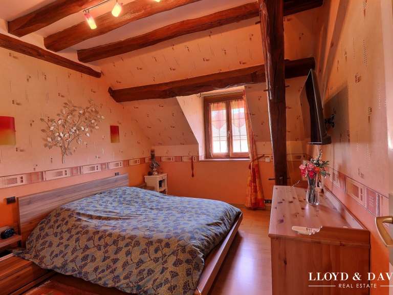 Maison Nogent-sur-Vernisson - 360m²