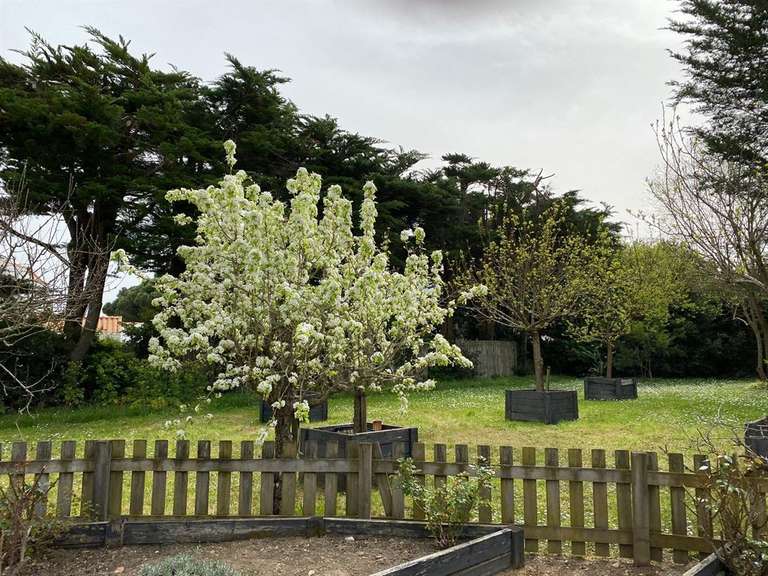 Maison Noirmoutier-en-l'Île - 7 chambres - 447m²