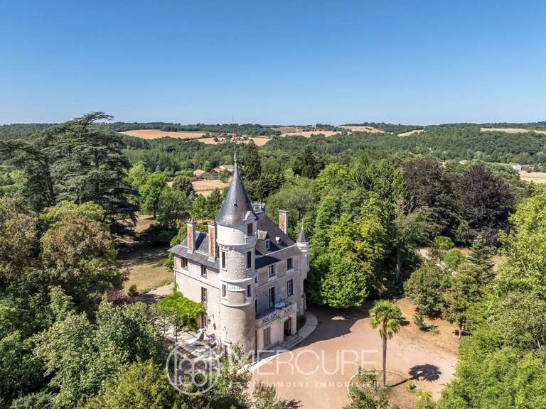 Château Nontron - 9 chambres - 2000m²