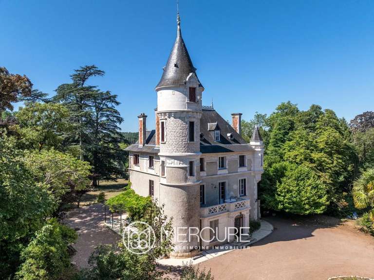 Château Nontron - 9 chambres - 1500m²