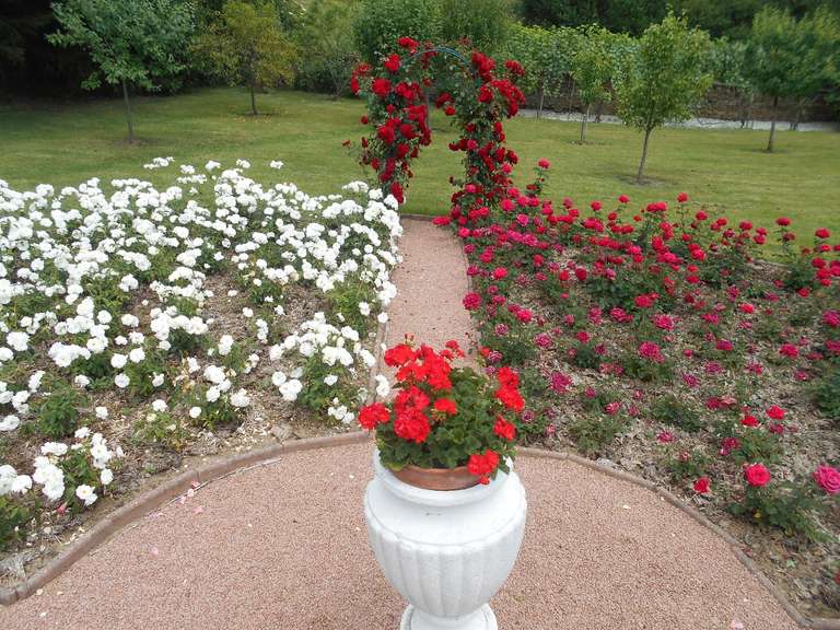 House Nontron - 5 bedrooms - 333m²