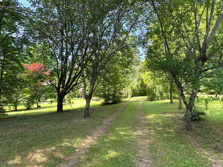 Maison Nontron - 5 chambres - 372m²