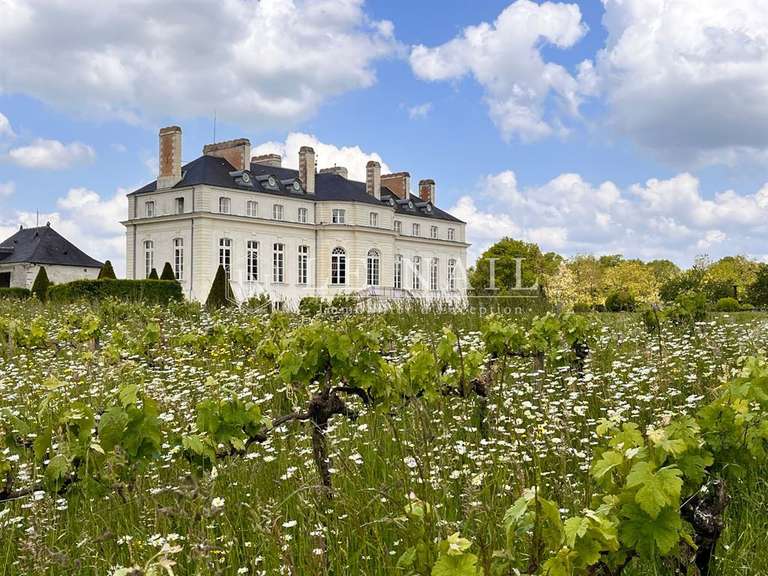 Castle Nort-sur-Erdre - 7 bedrooms - 760m²