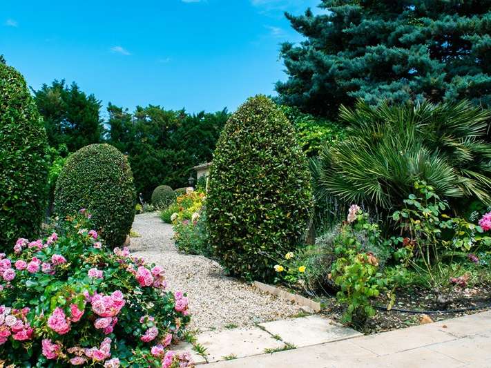 House Noves - 9 bedrooms - 400m²