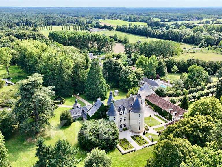 Château Noyant-Villages - 12 chambres - 2100m²