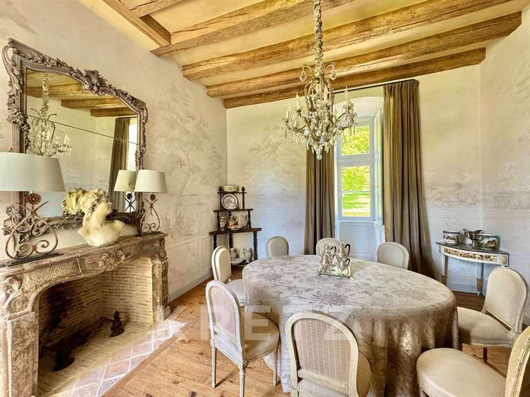 Château Noyant-Villages - 12 chambres - 2100m²
