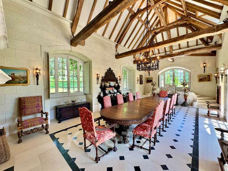 Château Noyant-Villages - 12 chambres - 2100m²