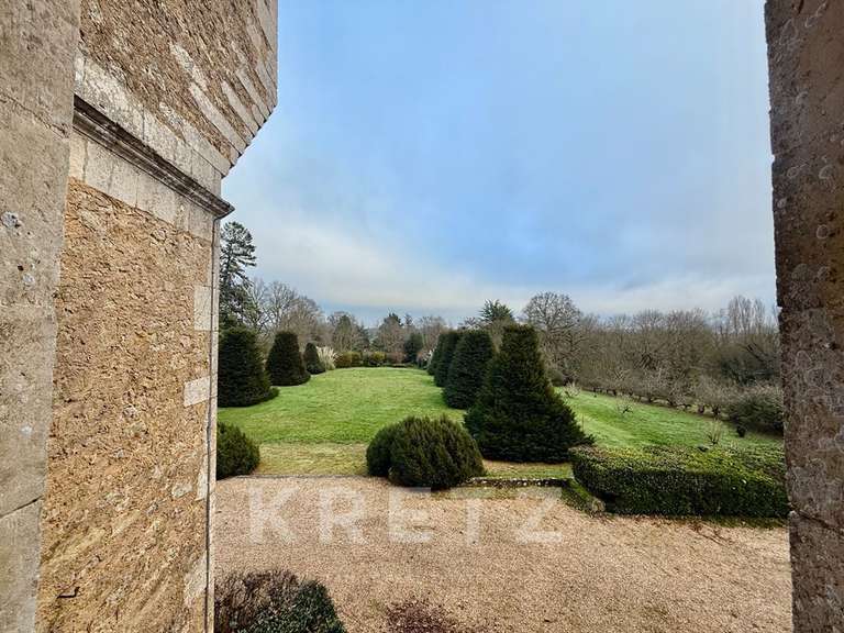 Château Noyen-sur-Sarthe - 5 chambres - 505m²