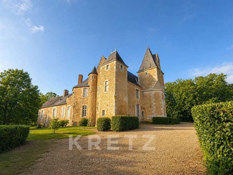 Château Noyen-sur-Sarthe - 5 chambres - 505m²
