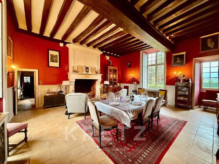 Château Noyen-sur-Sarthe - 5 chambres - 505m²