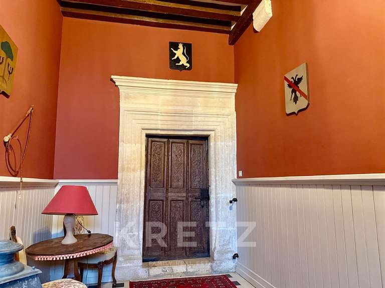 Château Noyen-sur-Sarthe - 5 chambres - 505m²