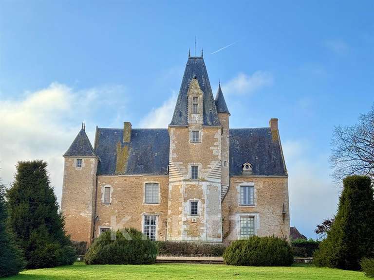 Château Noyen-sur-Sarthe - 5 chambres - 505m²
