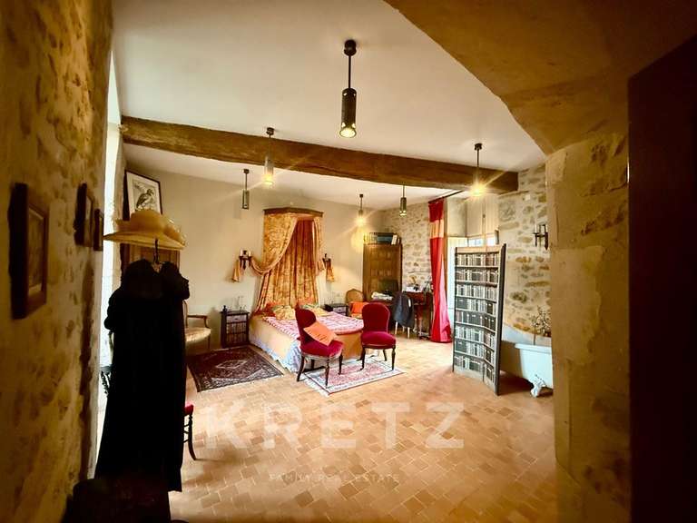 Château Noyen-sur-Sarthe - 5 chambres - 505m²