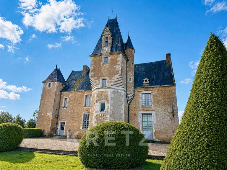Château Noyen-sur-Sarthe - 5 chambres - 505m²