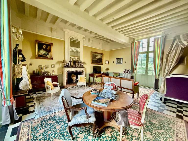 Château Noyen-sur-Sarthe - 5 chambres - 505m²