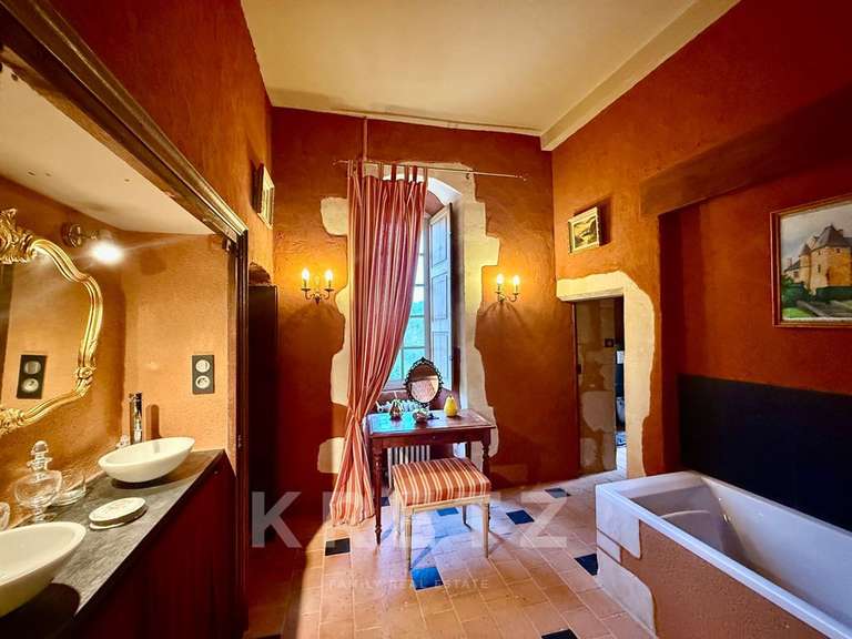 Château Noyen-sur-Sarthe - 5 chambres - 505m²