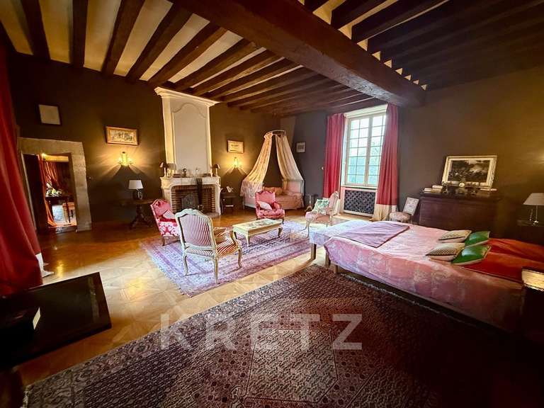Château Noyen-sur-Sarthe - 5 chambres - 505m²