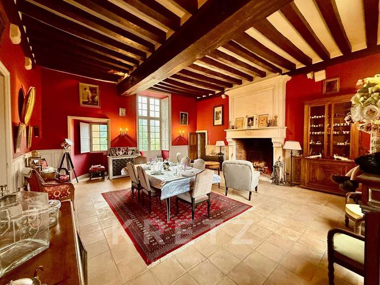 Château Noyen-sur-Sarthe - 5 chambres - 505m²