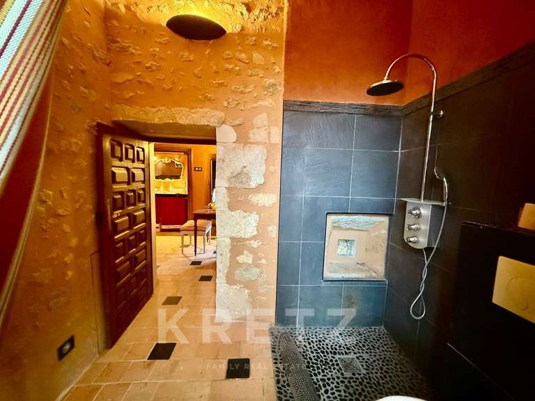 Château Noyen-sur-Sarthe - 5 chambres - 505m²