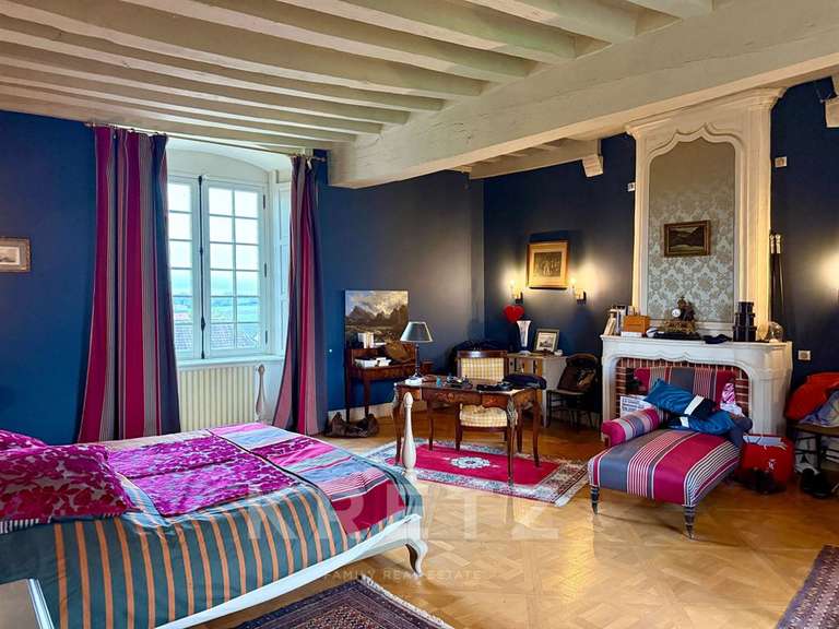 Château Noyen-sur-Sarthe - 5 chambres - 505m²