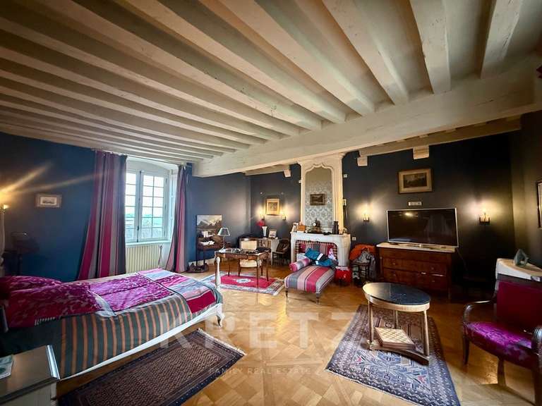 Château Noyen-sur-Sarthe - 5 chambres - 505m²
