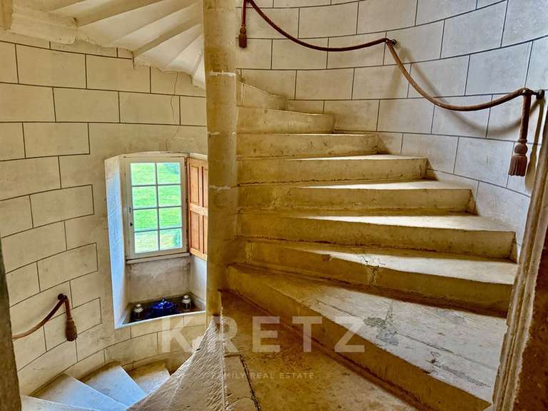 Château Noyen-sur-Sarthe - 5 chambres - 505m²