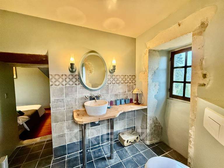 Château Noyen-sur-Sarthe - 5 chambres - 505m²