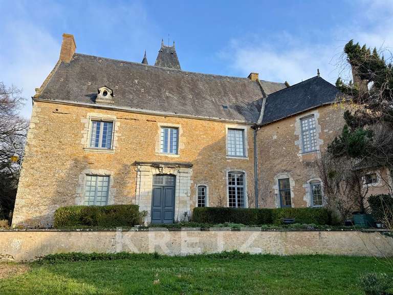 Château Noyen-sur-Sarthe - 5 chambres - 505m²