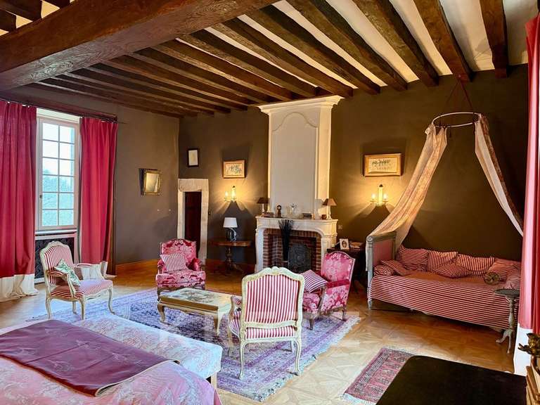 Château Noyen-sur-Sarthe - 5 chambres - 505m²