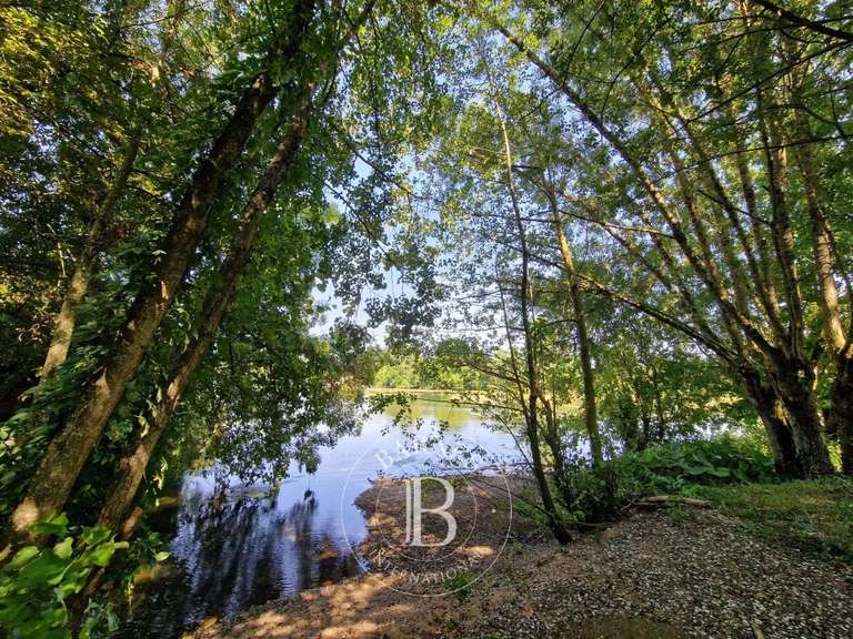 House Noyen-sur-Sarthe - 5 bedrooms - 350m²