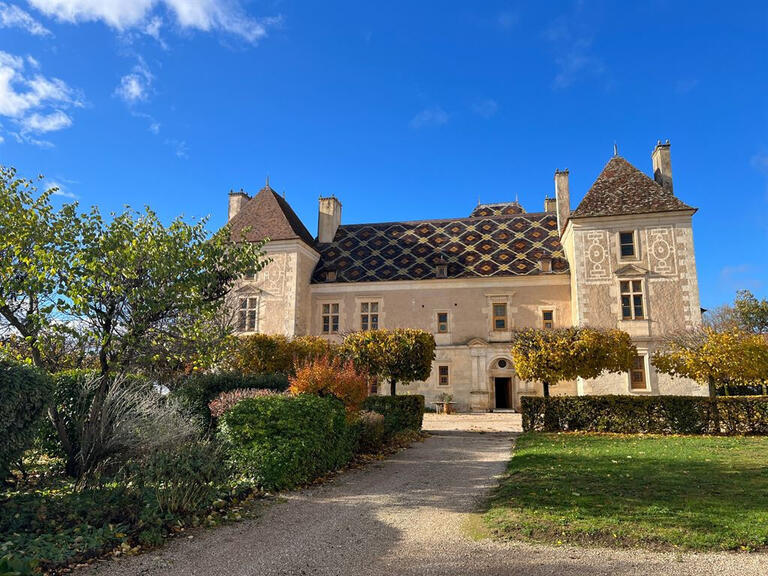 Vente Château Noyers