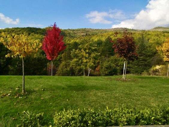 Maison Noyers-sur-Jabron - 3 chambres - 172m²