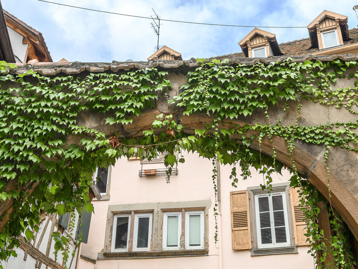 Mansion Obernai