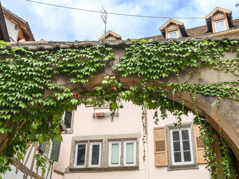 Hôtel particulier Obernai - 10 chambres - 450m²