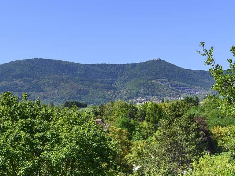 Villa Obernai - 5 chambres - 180m²
