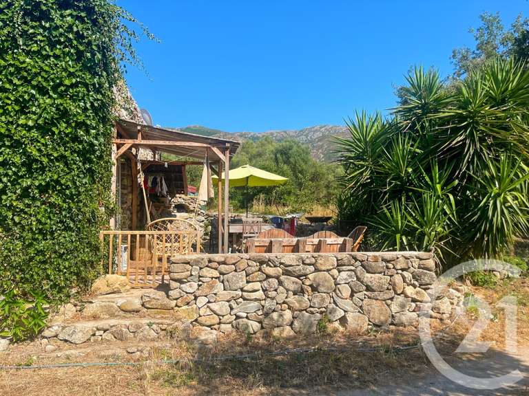 Maison Occhiatana - 4 chambres - 14m²