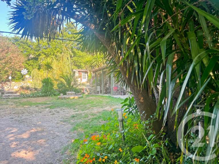 Maison Occhiatana - 6 chambres - 277m²