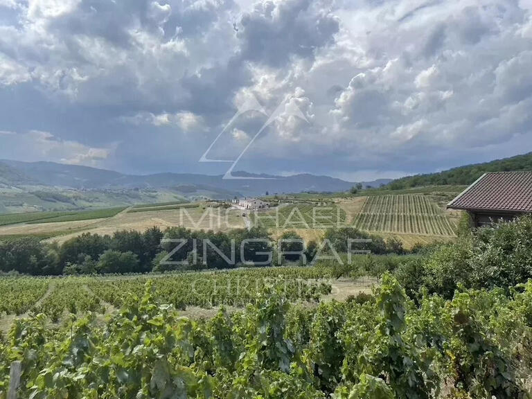 Domaine viticole Odenas - 576m²