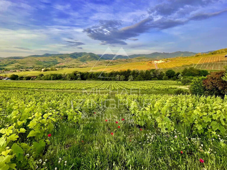 Domaine viticole Odenas - 576m²