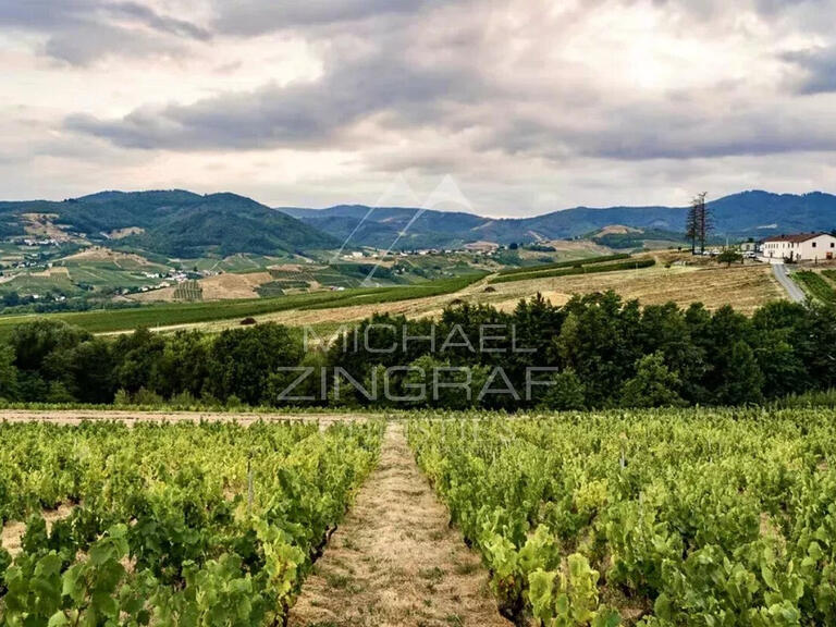 Domaine viticole Odenas - 576m²