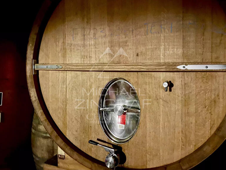 Domaine viticole Odenas - 576m²