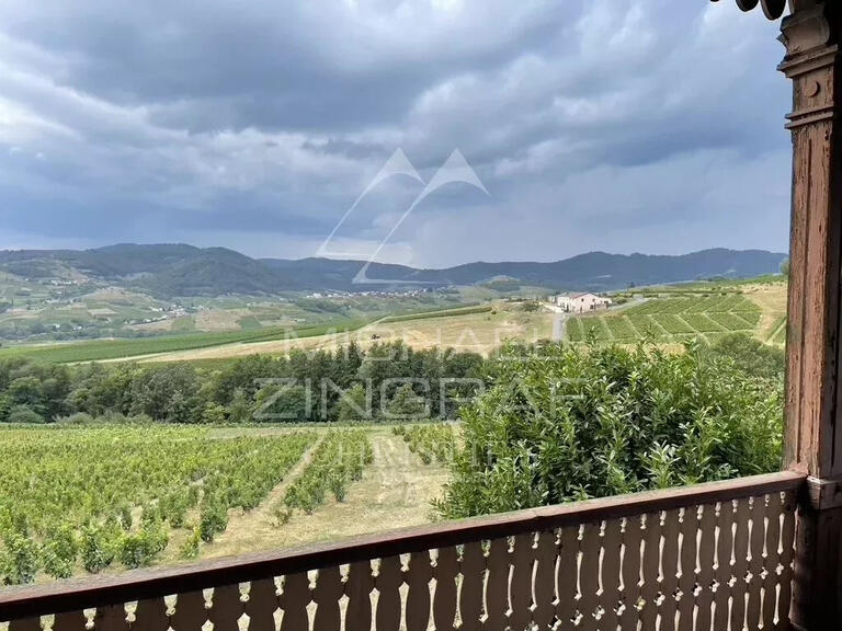 Domaine viticole Odenas - 576m²