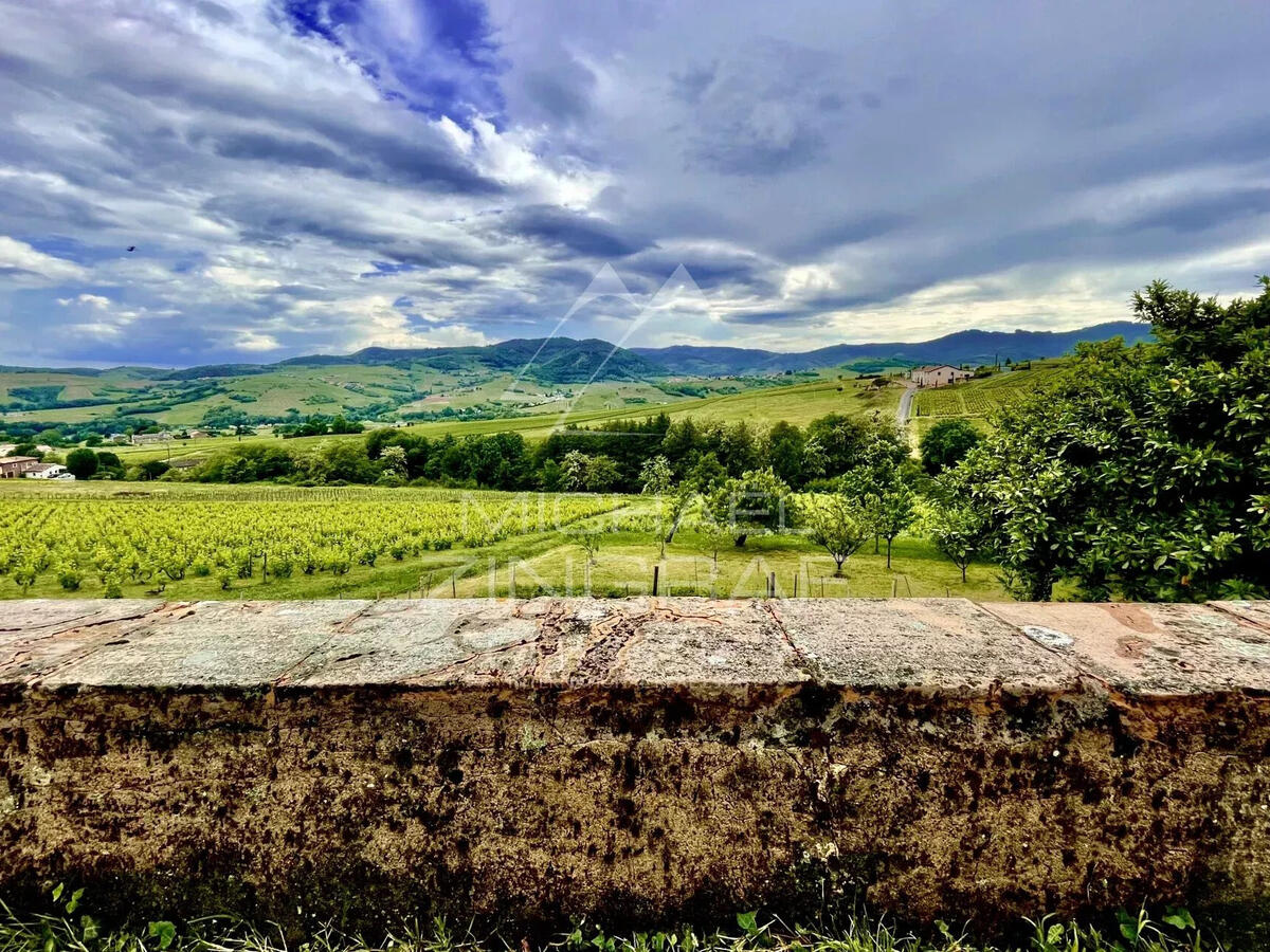 Domaine viticole Odenas