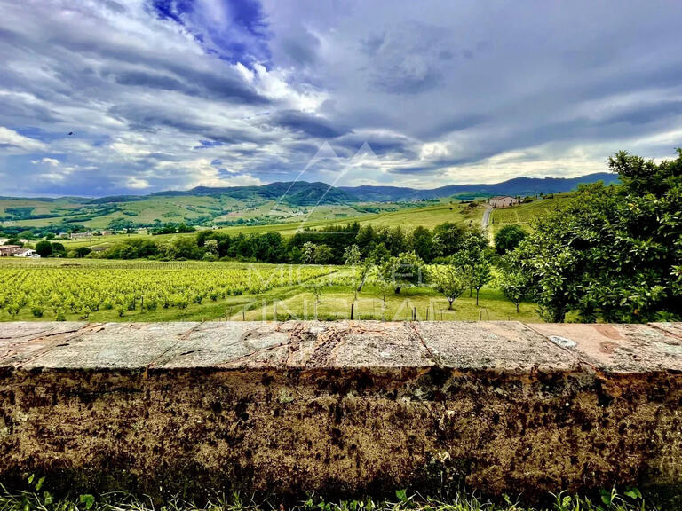Domaine viticole Odenas - 576m²