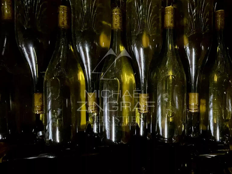 Domaine viticole Odenas - 576m²