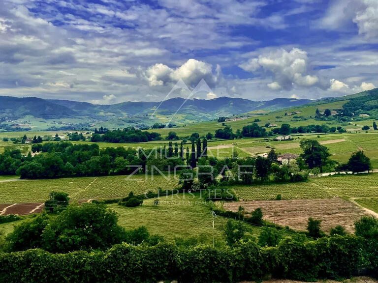 Domaine viticole Odenas - 576m²