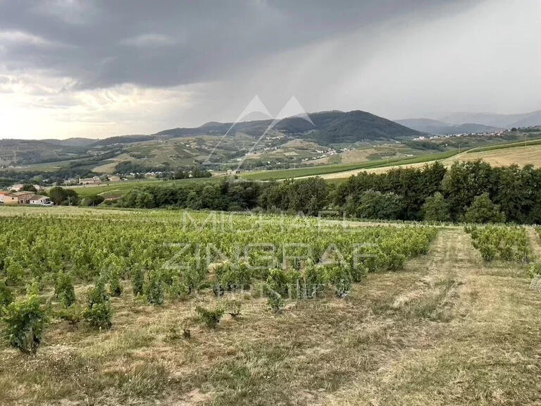 Domaine viticole Odenas - 576m²