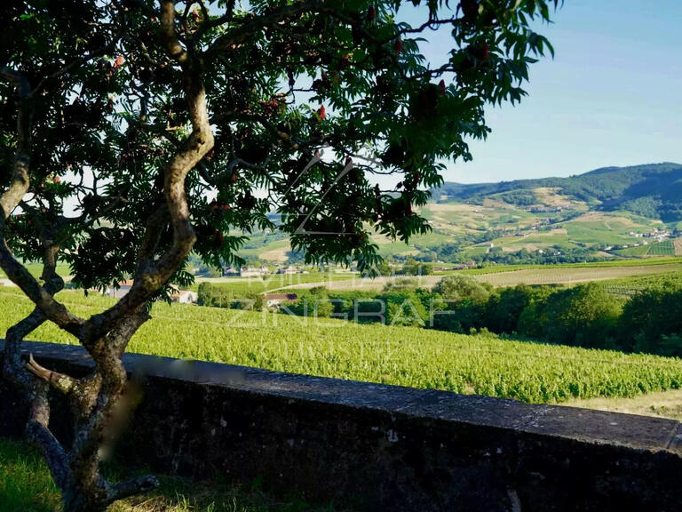 Domaine viticole Odenas - 576m²