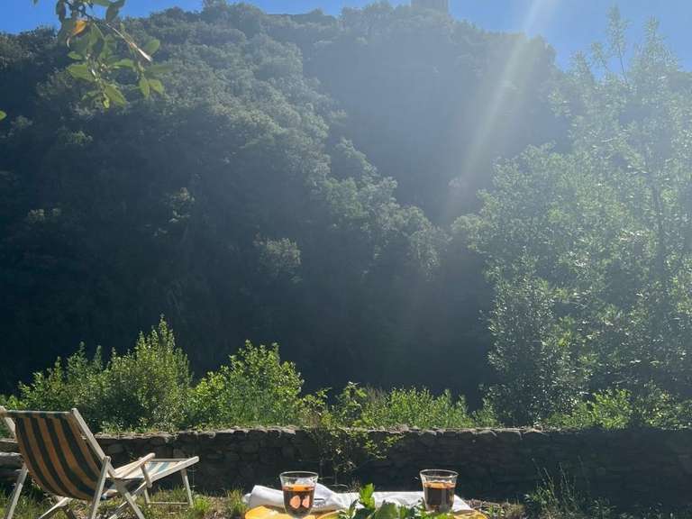 House Olargues - 600m²